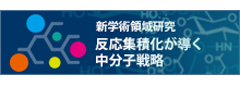 「反応集積化が導く中分子戦略：高次生物機能分子の創製」へのリンク